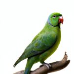 OReilly Media User Experience Web Design Book Kindle Edition-0